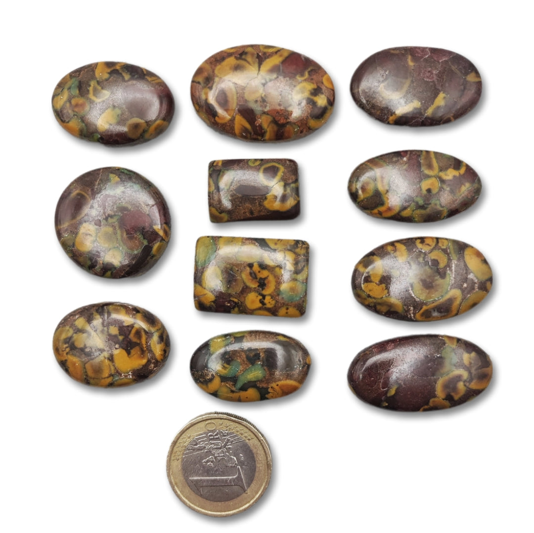 Diaspro - Fruit Jasper - (Lotto)