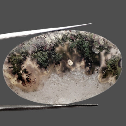 Agata Muschiata Giardino (Garden Moss Agate)